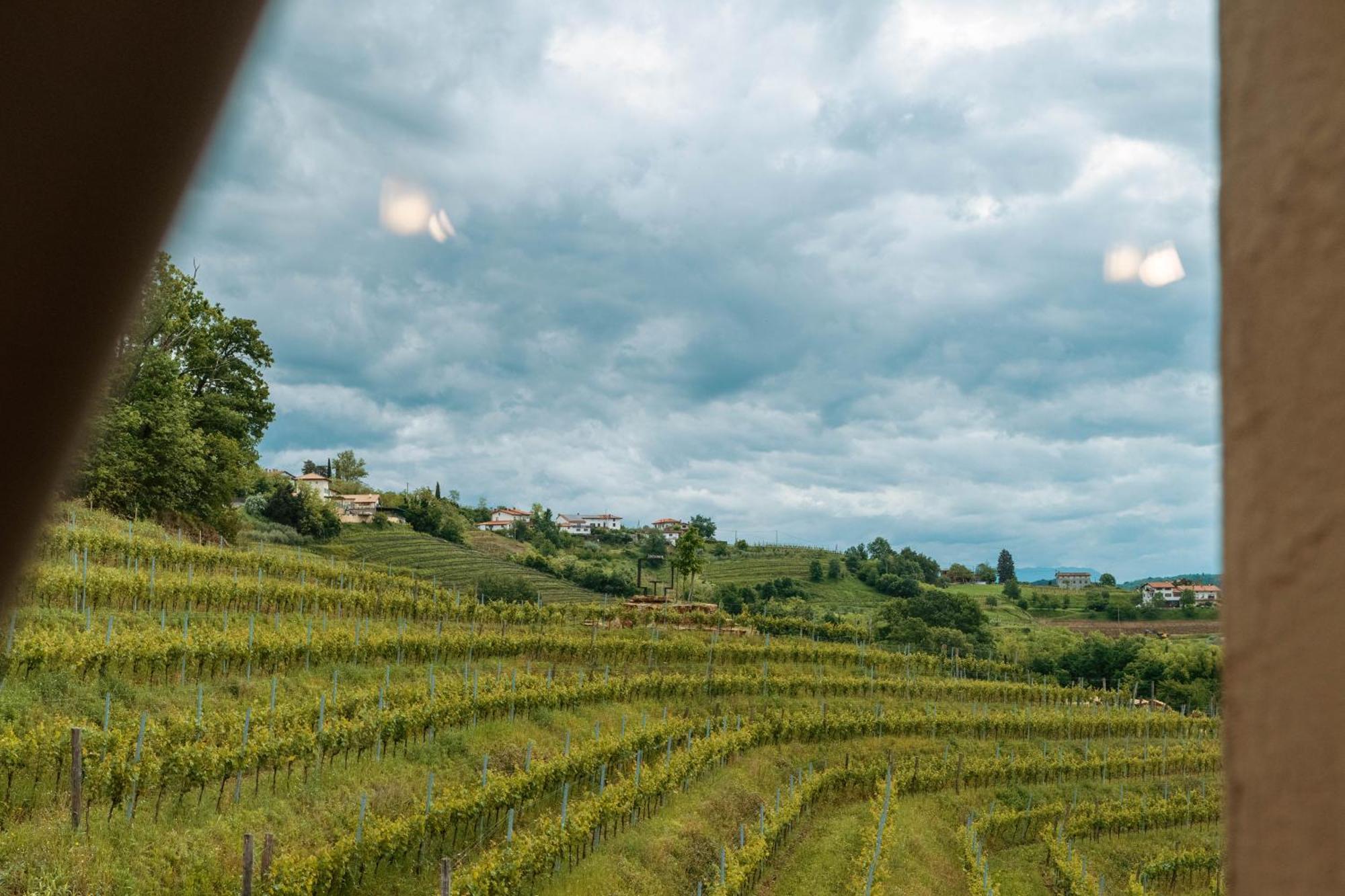 Posestvo Scurek Wine Bed & Breakfast Dobrovo Exterior photo